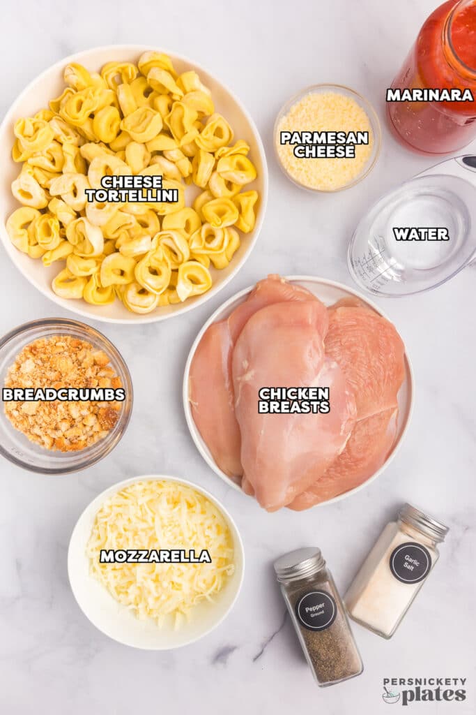 overhead shot of labeled ingredients laid out to make crockpot chicken parmesan.
