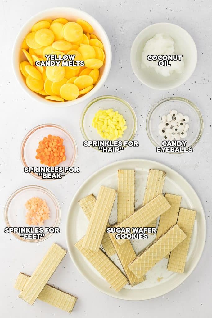 overhead shot of labeled ingredients laid out to make dipped wafer cookies.