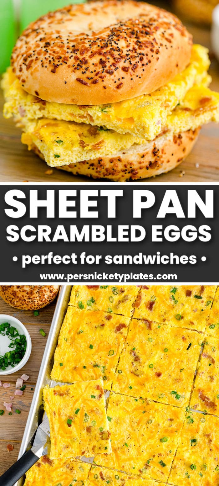This sheet pan eggs recipe is perfect for serving a crowd or for meal prep. It's made with eggs, bacon, ham, cheese, and onions all baked on one sheet in under 30 minutes. | www.persnicketyplates.com
