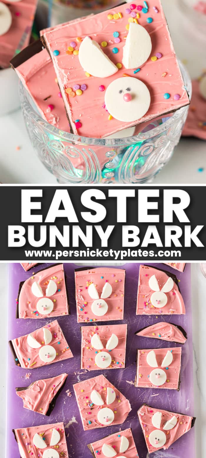 Easy bunny bark is a festive, no-bake Easter treat that starts with a layer of chocolate, topped with a layer of melted pink candy wafers, and decorated with bunnies made out of white candy melts with pastel-colored pearl sprinkle noses. | www.persnicketyplates.com