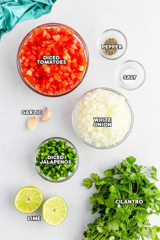 overhead shot of labeled ingredients to make pico de gallo.
