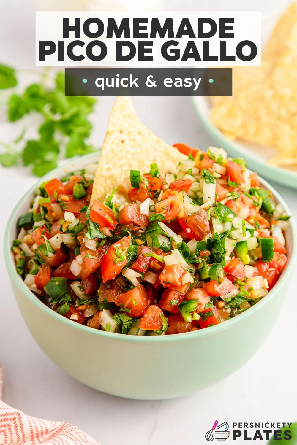 Make this homemade pico de gallo using a handful of fresh ingredients and just 15 minutes of prep time. This classic recipe is perfect to serve with crispy tortilla chips or use it as the perfect topping for all your favorite Mexican recipes! | www.persnicketyplates.com