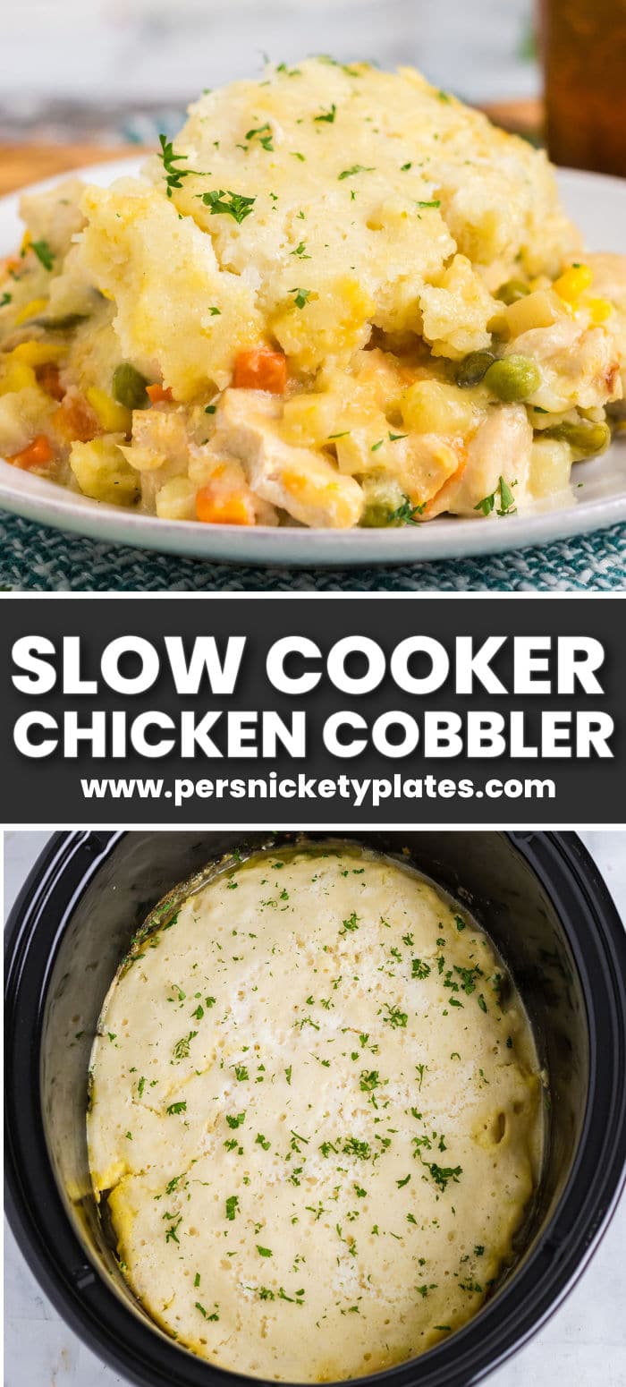 This Slow Cooker Chicken "Cobbler" is a simple recipe made in the crockpot filled with creamy chicken and vegetables and topped with a biscuit cobbler topping. Cobblers don't just have to be for dessert! | www.persnicketyplates.com