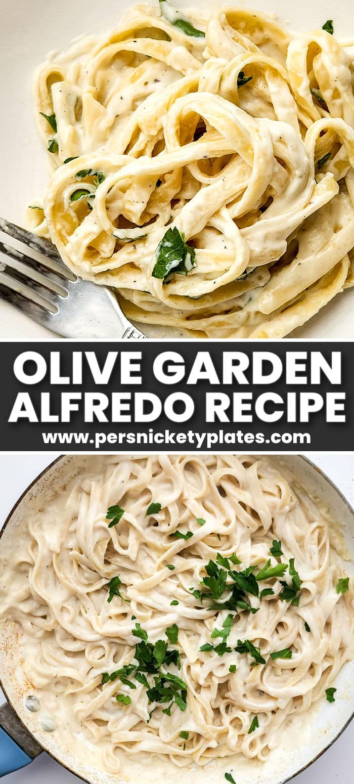 This homemade Alfredo sauce is just as good, if not better, than the Olive Garden original! A rich creamy sauce comes together in under 30 minutes and is ready to coat your favorite pasta. | www.persnicketyplates.com
