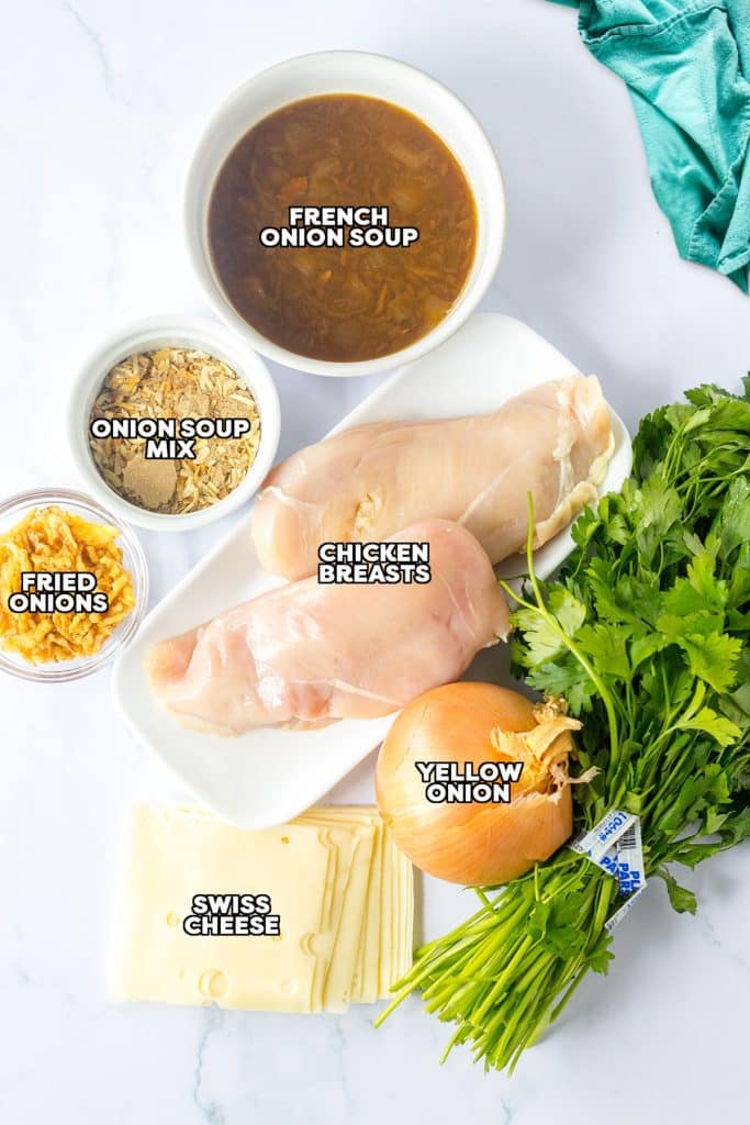 overhead shot of labeled ingredients laid out to make french onion chicken.