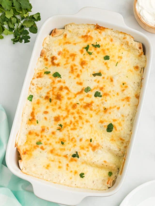 easy-sour-cream-chicken-enchiladas11
