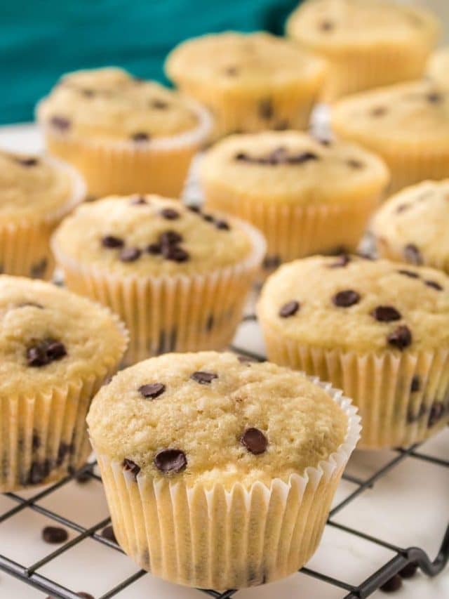 vegan-chocolate-chip-muffins21-683x1024