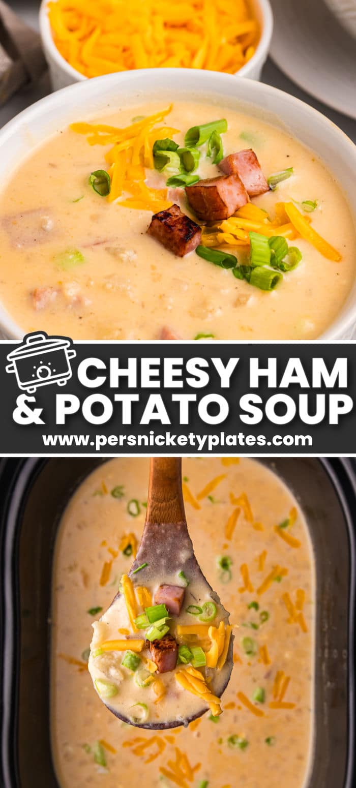 Slow Cooker Cheesy Ham and Potato Soup is a simple soup with tons of flavor! It’s made with potatoes, ham, onions, chicken stock, and two kinds of cheese all dumped into the crockpot and ready to serve at the end of the day. This cheesy soup is hearty, filling, and is always a hit! | www.persnicketyplates.com