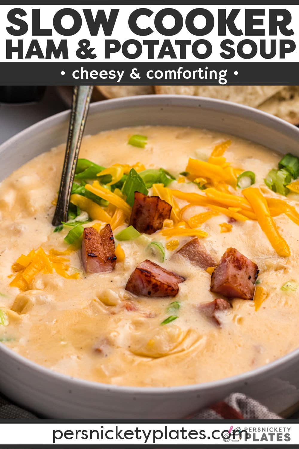 Slow Cooker Cheesy Ham and Potato Soup is a simple soup with tons of flavor! It’s made with potatoes, ham, onions, chicken stock, and two kinds of cheese all dumped into the crockpot and ready to serve at the end of the day. This cheesy soup is hearty, filling, and is always a hit! | www.persnicketyplates.com