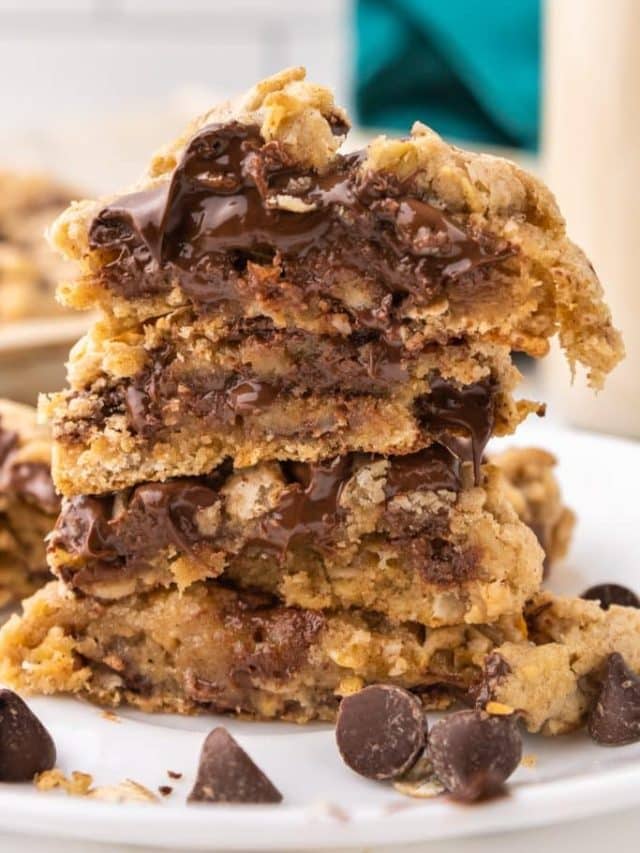 brown-butter-oatmeal-chocolate-chip-cookies33-683x1024