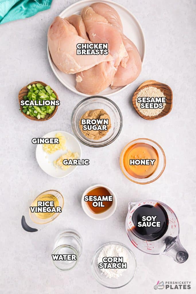 overhead shot of labeled ingredients laid out to make crockpot teriyaki chicken.