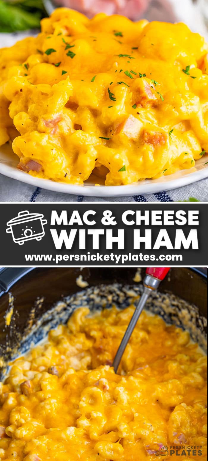 Slow Cooker Mac and Cheese with Ham is a dump-and-set recipe which means you don't need to pre-cook your noodles or make a roux for a cheese sauce. Everything gets added at once and then the slow cooker does the work to make this the cheesiest mac you've ever had. Toss in leftover ham and make it a comfort food meal your entire family will love! | www.persnicketyplates.com