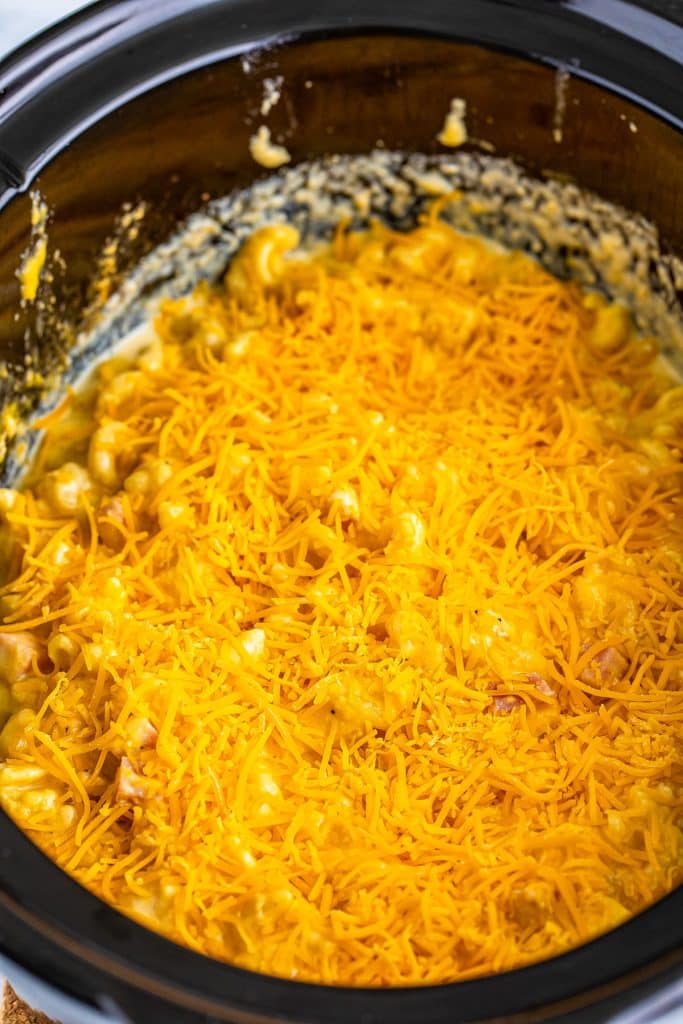 shredded cheese sprinkled into a crockpot of macaroni.