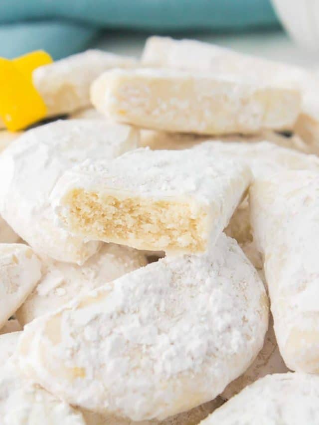 copycat-savannah-smiles8-SQUARE-1024x1024