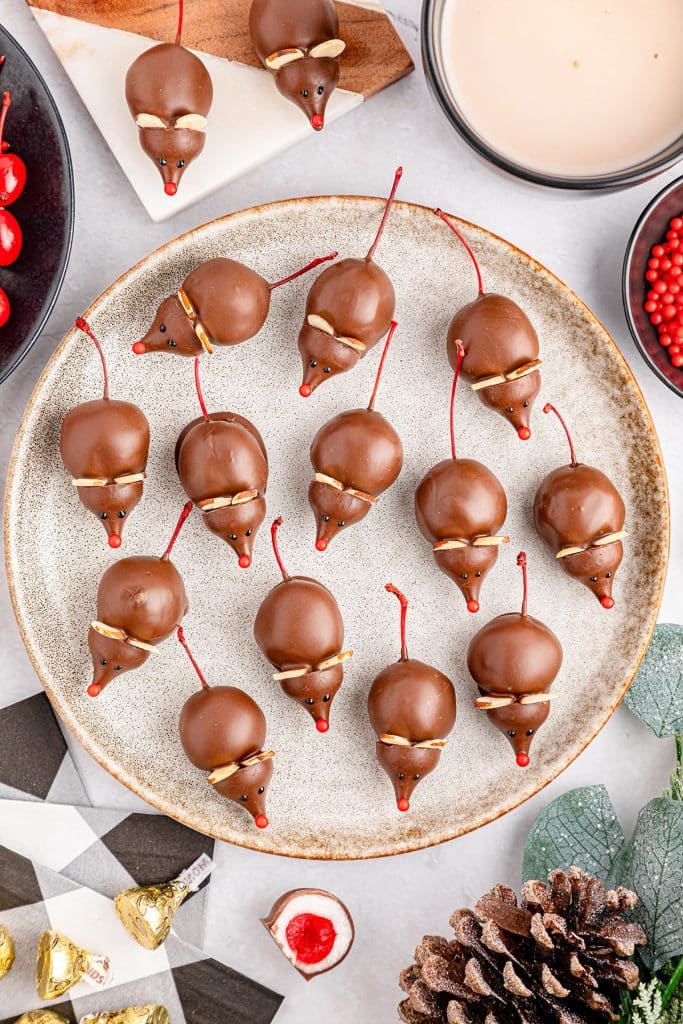 overhead shot of chocolate cherry mice on a plate.