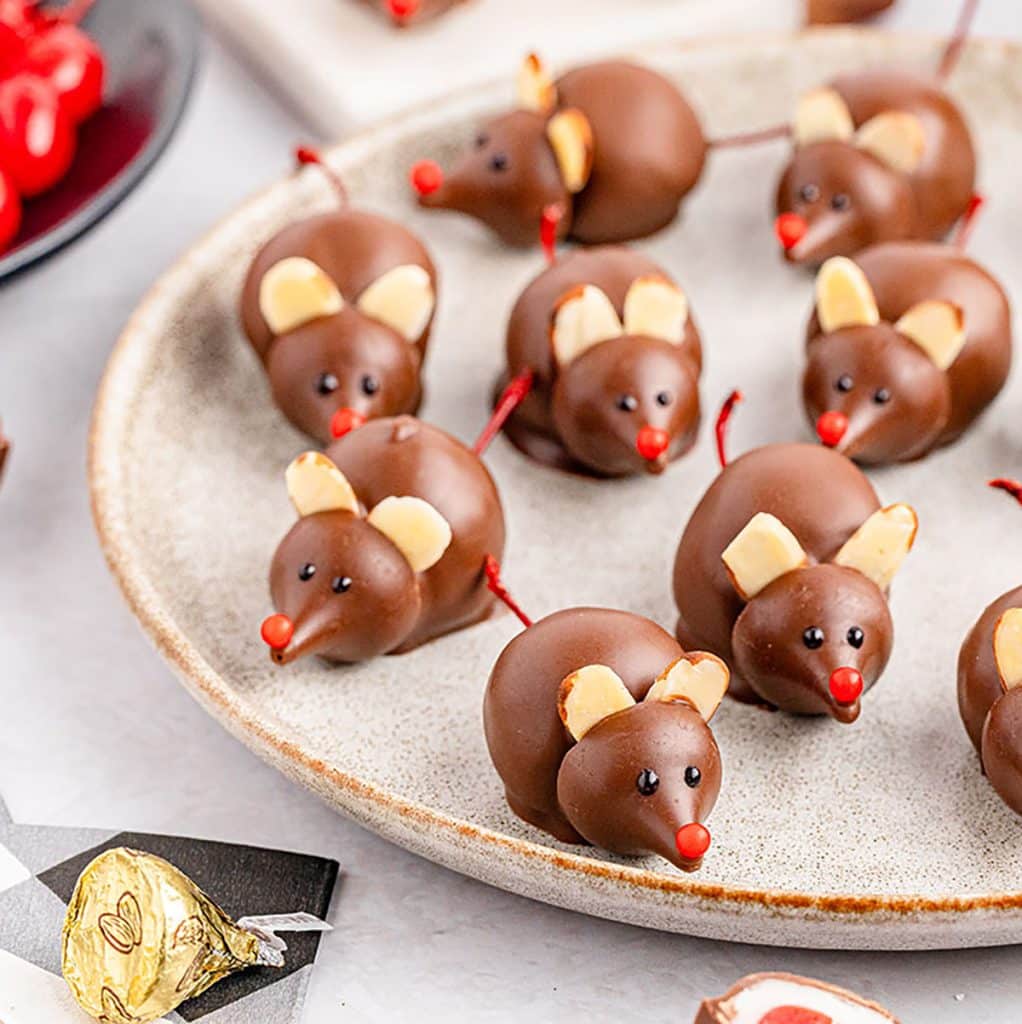 chocolate covered cherry mice on a plate.