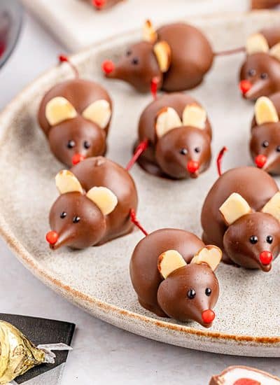 chocolate covered cherry mice on a plate.