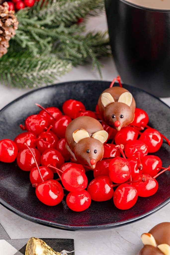 chocolate cherry mice sitting on top of maraschino cherries.