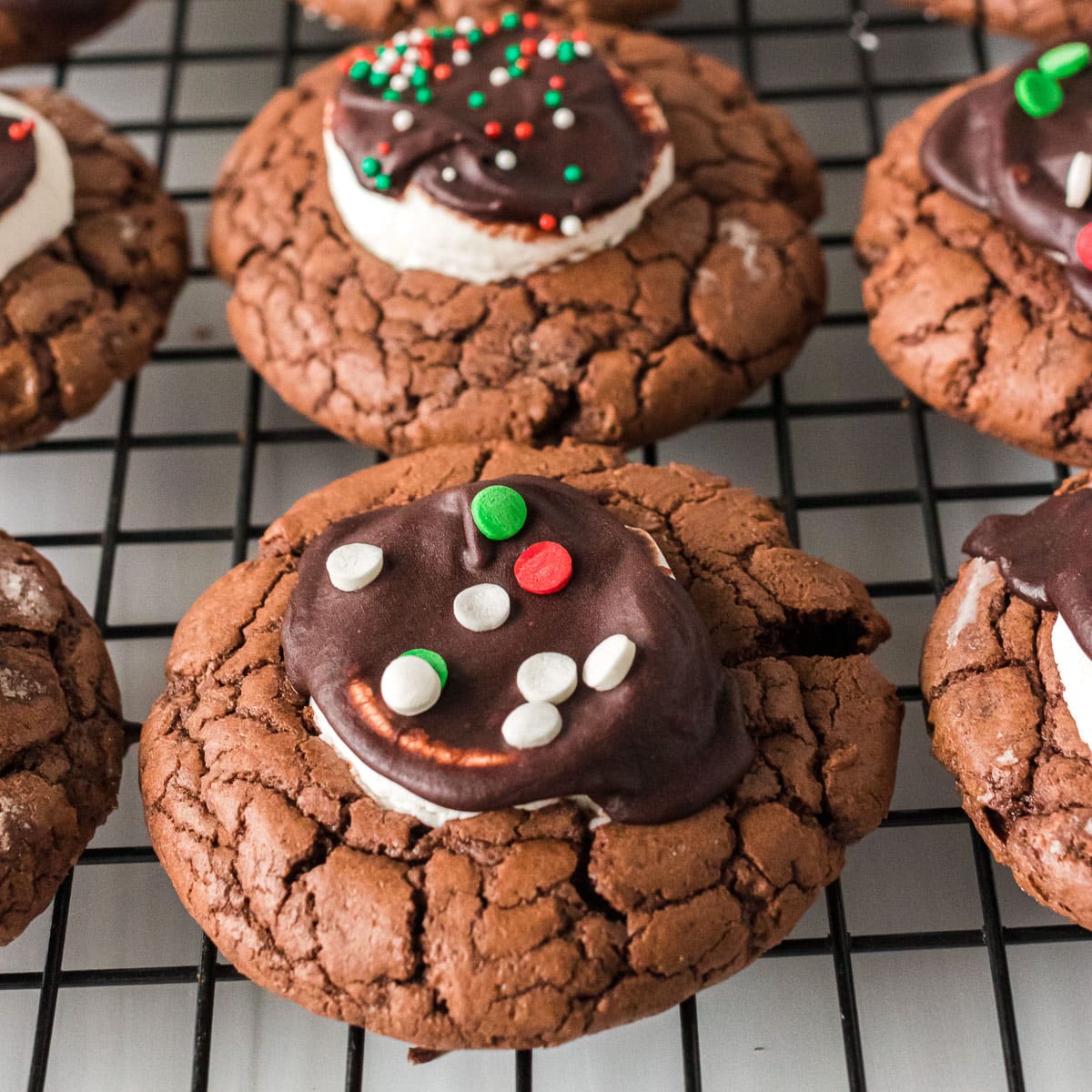 Hot Chocolate Cookies - Persnickety Plates