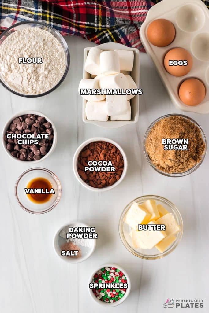 overhead shot of labeled ingredients laid out to make hot chocolate cookies.