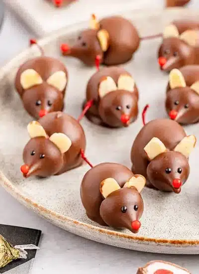 chocolate-cherry-mice33-SQUARE
