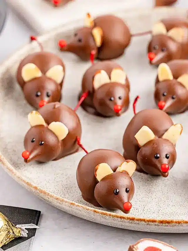 Easy Chocolate Cherry Mice (no bake)