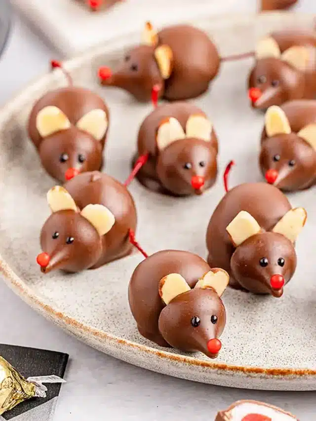 chocolate-cherry-mice33-SQUARE