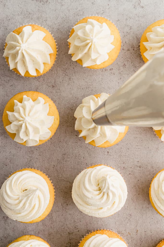 piping bag piping vanilla buttercream onto cupcakes.