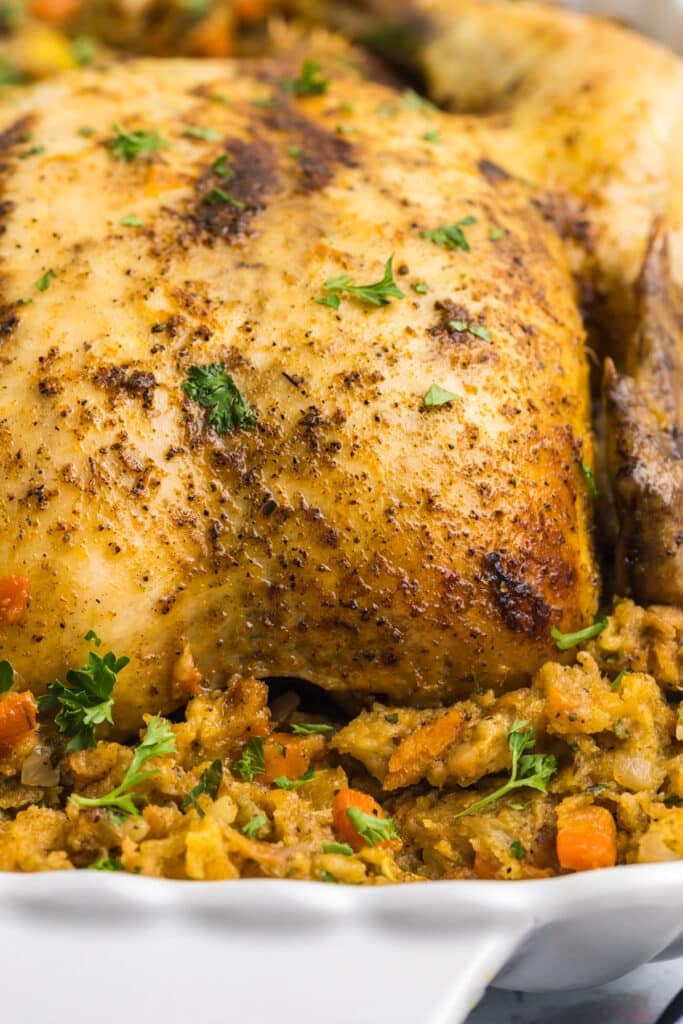 closeup of a whole roasted chicken on top of stuffing.