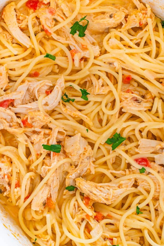 Close-up of creamy chicken spaghetti with shredded chicken and parsley.