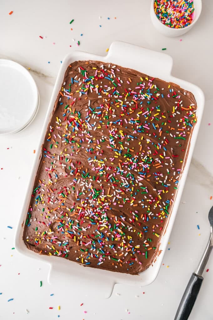 Overhead view of yellow sheet cake with chocolate frosting and rainbow sprinkles.