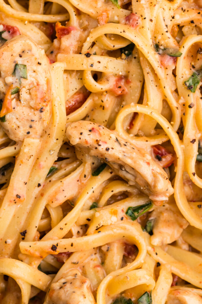 Close-up of creamy chicken pasta with sun-dried tomatoes