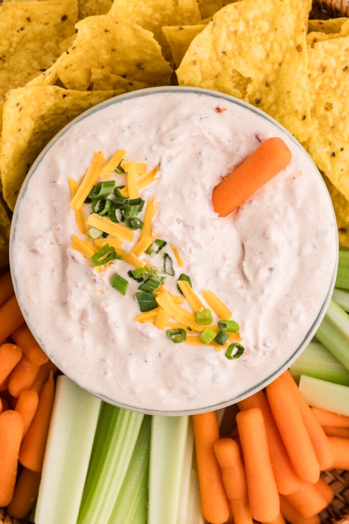 Cream Cheese Salsa Dip (2 Ingredients!) | Persnickety Plates